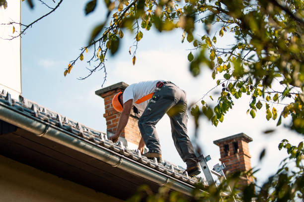 Best 4 Ply Roofing  in Renova, MS