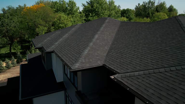 Best Steel Roofing  in Renova, MS