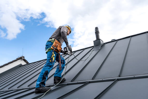 Best Chimney Flashing Repair  in Renova, MS